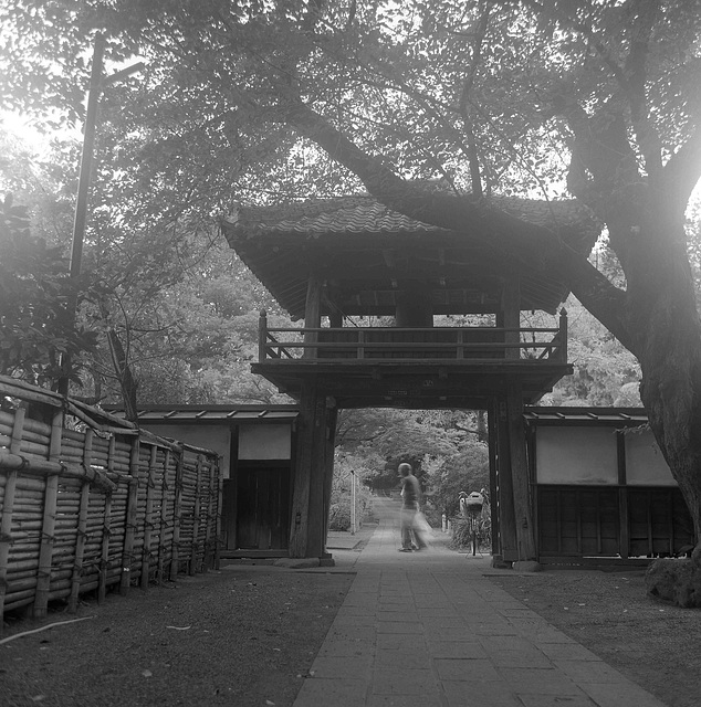 Bell tower in the morning