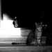 Strangers In The Night