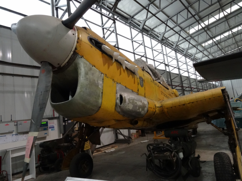 iwmdux (1246)