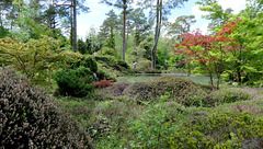 Arborétum des Grandes Bruyères...