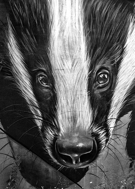 Badger Mural