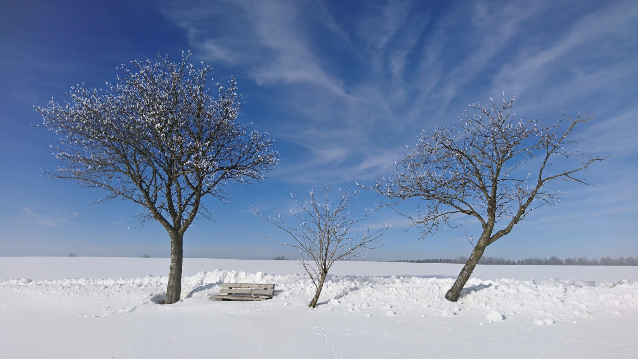 Ein Platz an der Sonne