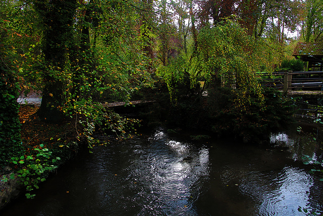 Le bonheur quand tu vis de façon harmonieuse au bord d'un ruisseau .