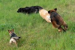 Bella liegt in Führung