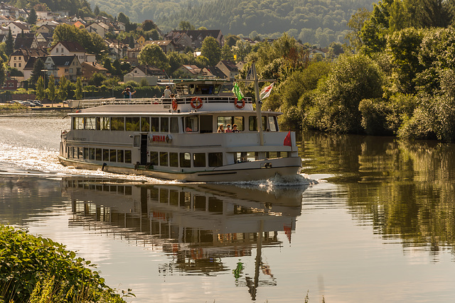 Die "Merian" auf dem Weg Richtung Heidelberg