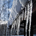 Snow and icicles!