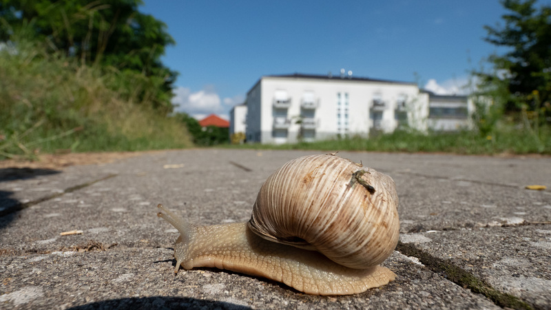 Immer schön langsam