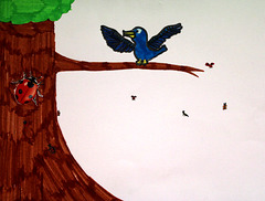 IMG 0464 IMG 0464