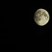 Mond, Wohnung Nordhausen