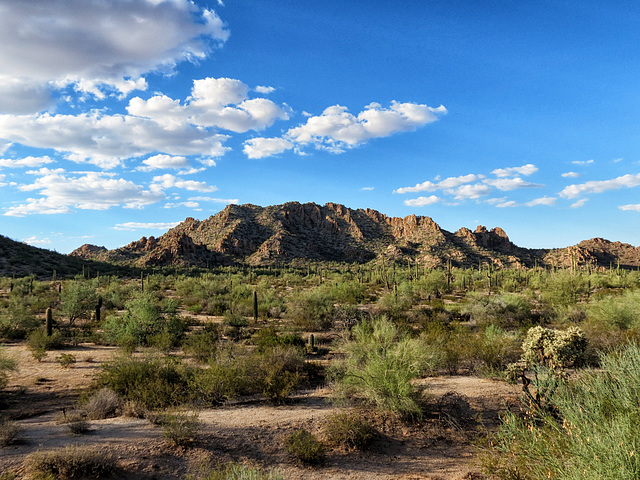 Stanfield, Arizona