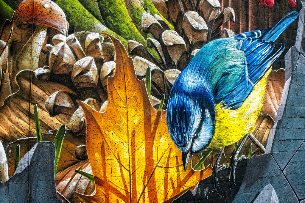 Blue Tit, Mural