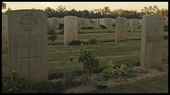 Allied cemetery II