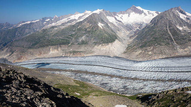 190725 Eggishorn Aletsch 22