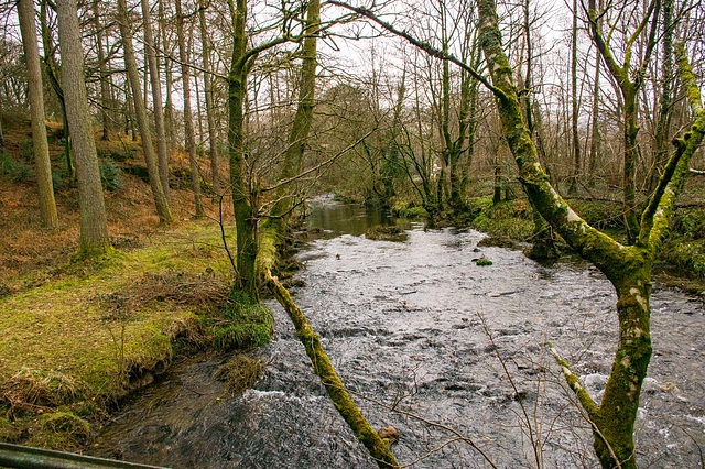 A stream in Llanberis