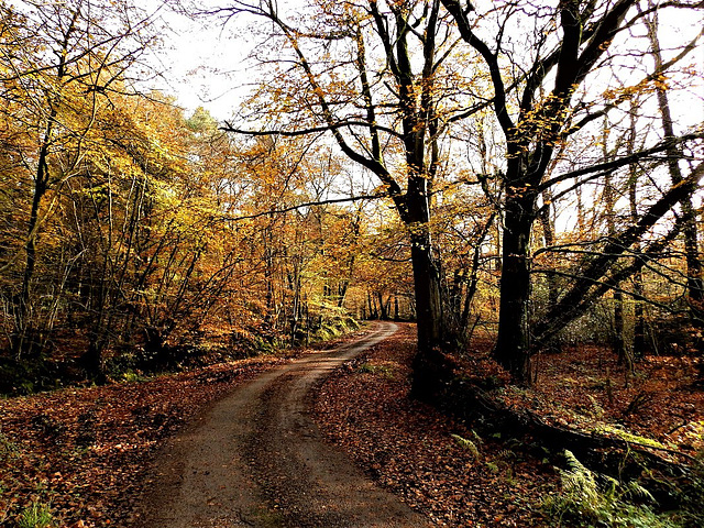 Autumn around the bend.