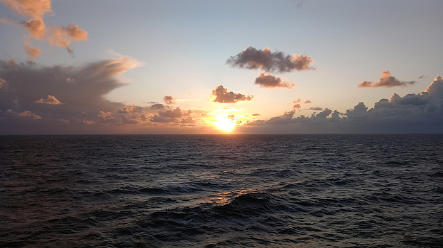 Sundowning