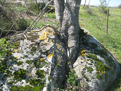 Im Naturschutzgebiet Vilaüt