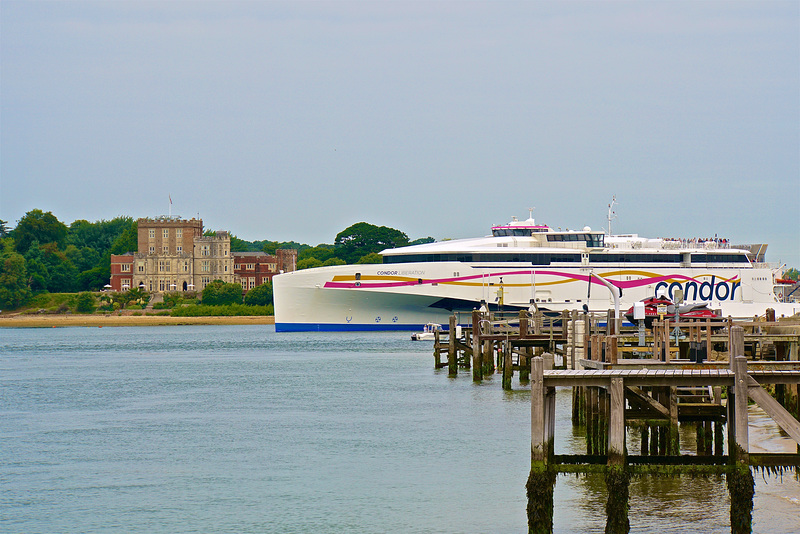 CONDOR LIBERATION