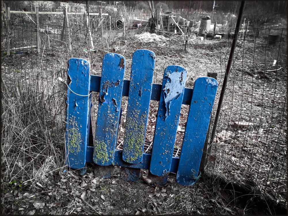 allotment