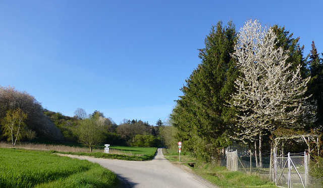 Auf dem Weg nach Heppingen