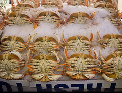 Dance of the Crabs