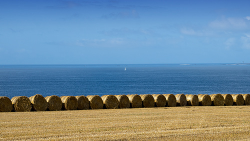 white sailing