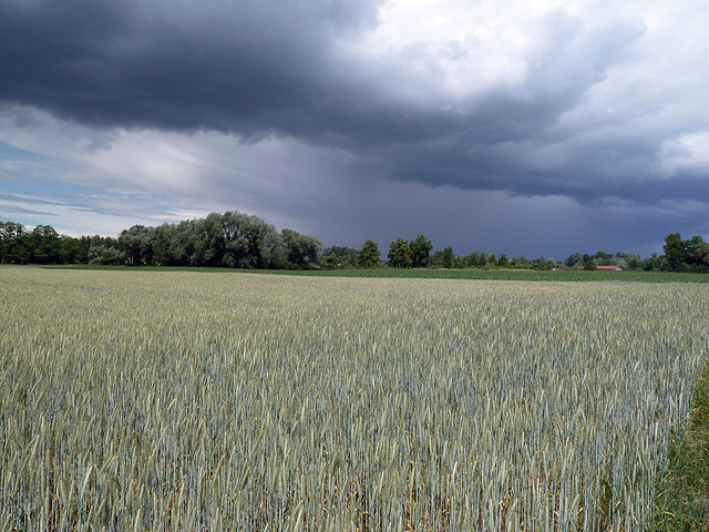 Unwetter im Anzug