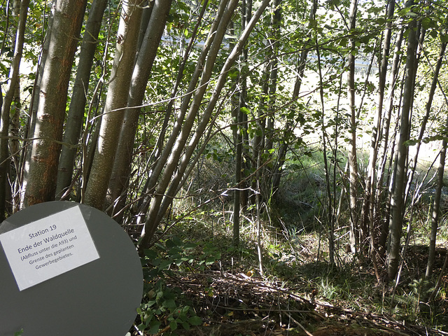 Ende der Waldquelle