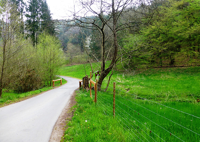 Auf dem Wanderweg Nr. 4