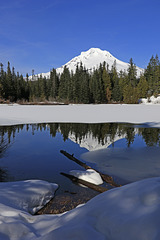 Mount Hood from Mirror Lake