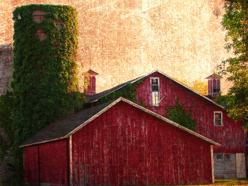 Rustic Barn