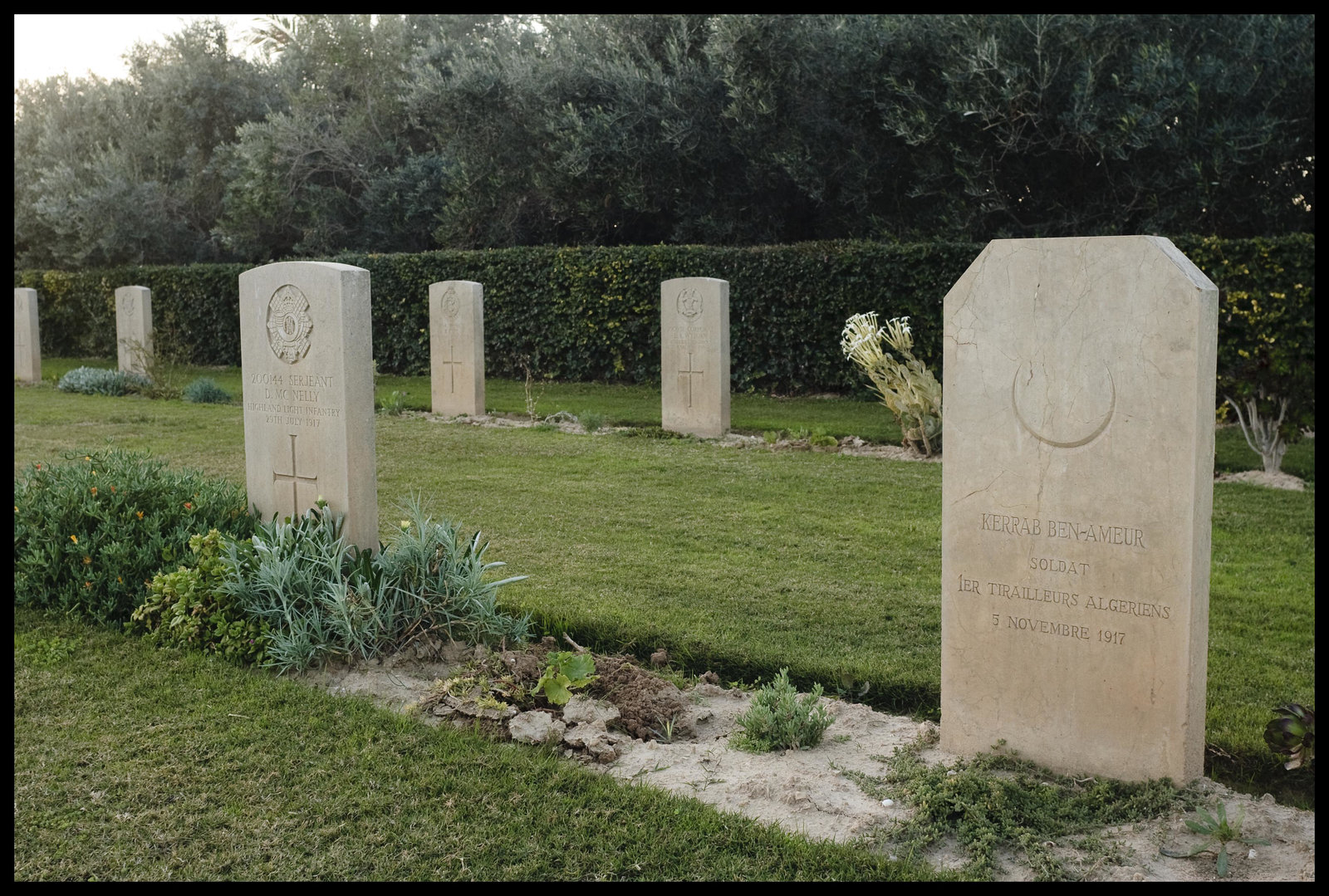 Brothers in arms I