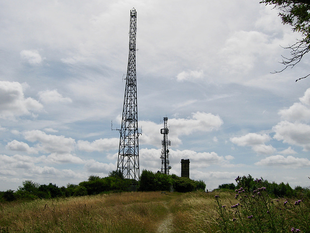 Sedgley Beacon Tower and radio masts  (237m)