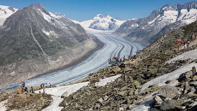 190725 Eggishorn Aletsch 29