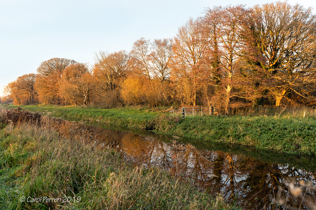 Golden December - HFF!