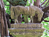 highgate west cemetery, london