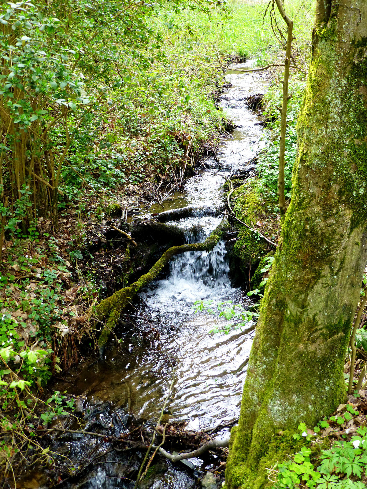 Auf dem Wanderweg Nr. 4