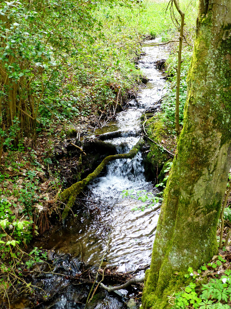 Auf dem Wanderweg Nr. 4