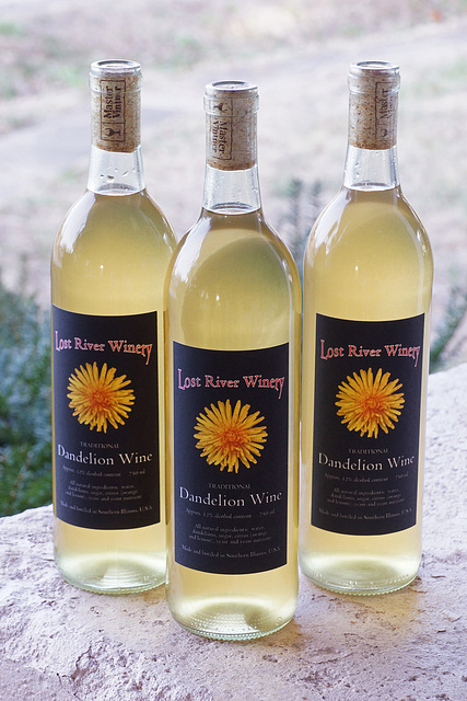 Dandelion Wine