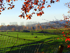 Small fence (Afrastering)