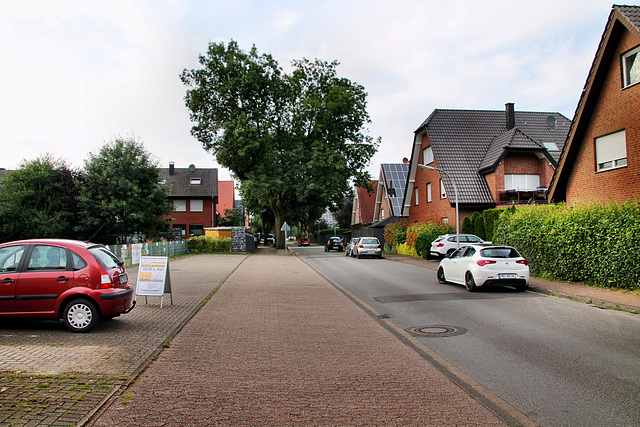 Dillenweg (Dorsten-Rhade) / 20.07.2024