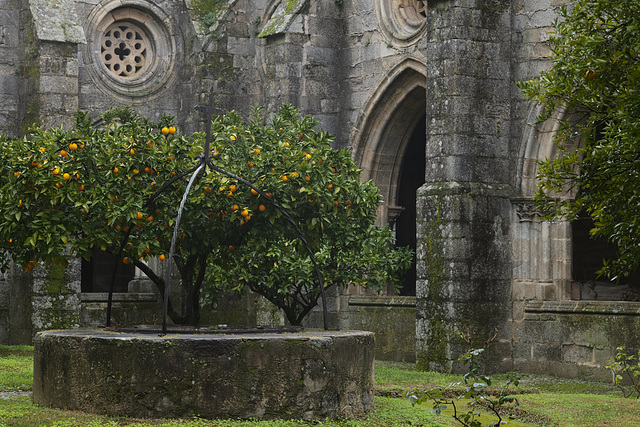 Évora, Basilica Sé, Claustro