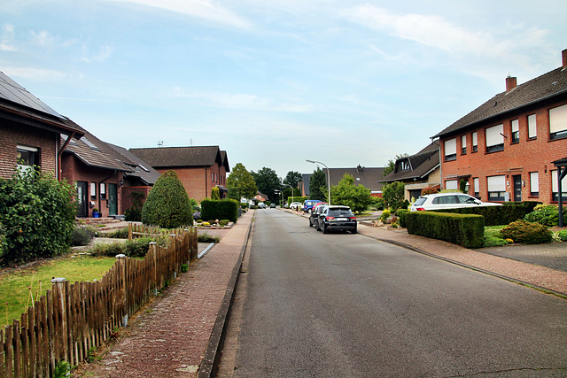 Hoonkesweg (Dorsten-Rhade) / 20.07.2024