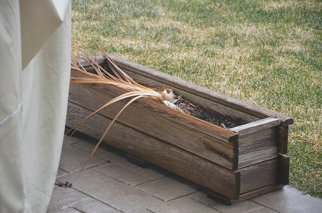 patio planter, late March