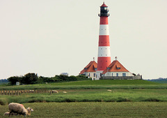 Westerhever