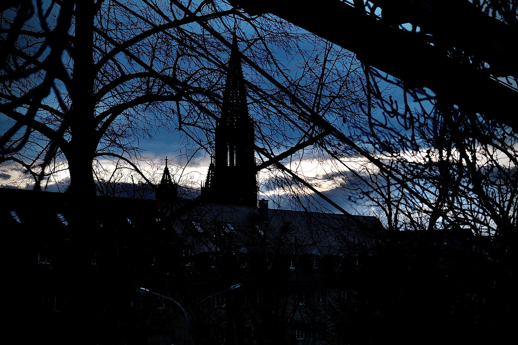 Freiburg Münster