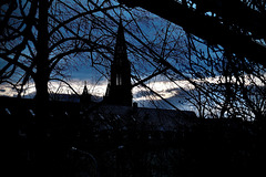 Freiburg Münster