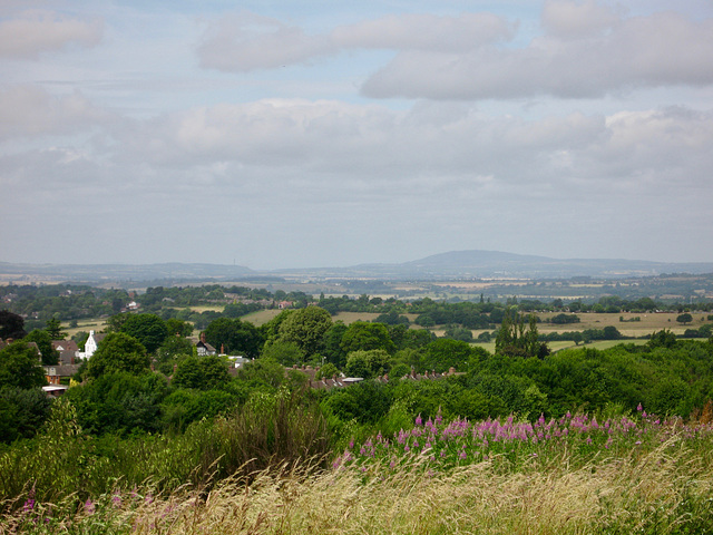 Looking towards the Clee Hills from Sedgley Beacon