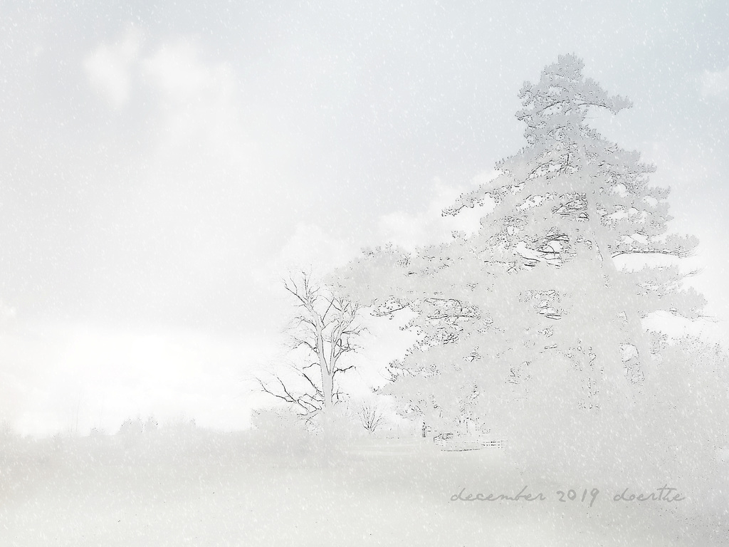 A snow shower