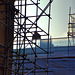 Scaffold 5